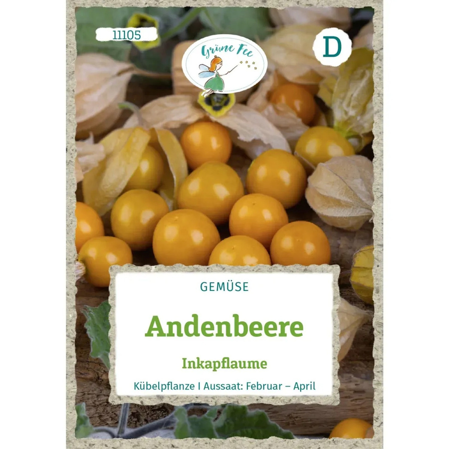 Grüne Fee Andenbeere Inkapflaume Saatgut - Bild 2