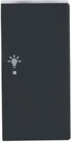 Busch-Jaeger Wippe 2-fach mit Licht-Symbol in Anthrazit 6231-22-81 - Bild 1
