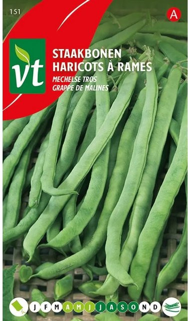 Arborix Ackerbohne Mechelse Tros Saatgut 50 g - Bild 1