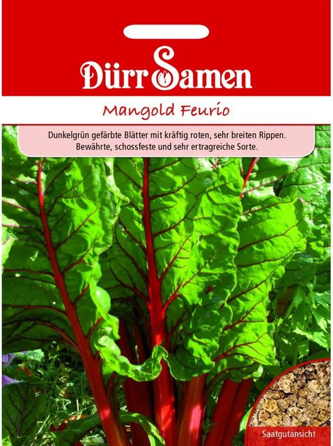 Dürr Mangold Feurio Saatgut für deinen Garten, 155 g - Bild 1