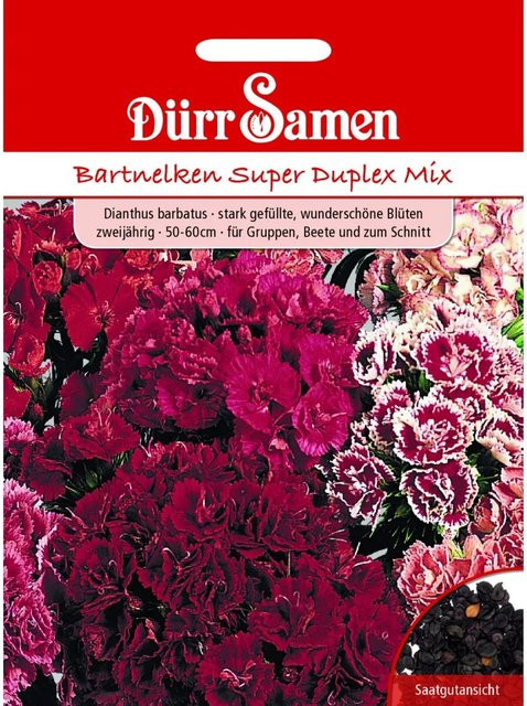 Dürr Bartnelke Super Duplex Mix Saatgut für Beete und Rabatten, zweijährig - Bild 1