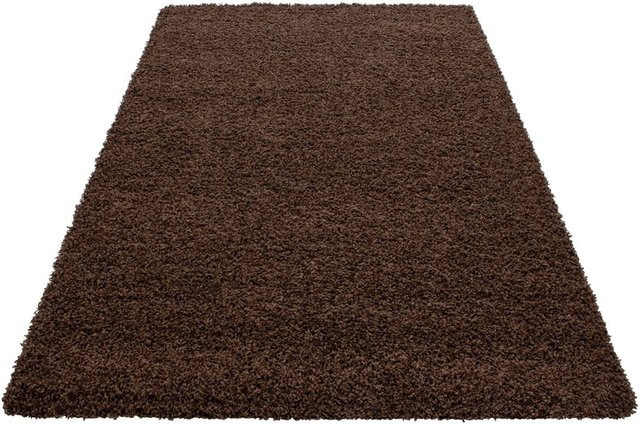 Ayyildiz Hochflorteppich Life Shaggy Braun B/L: 160 x 230 cm - Bild 1