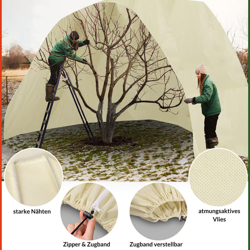 Pflanzenschutzhaube 3er-Set Beige B: 0,6 m, T: 0,8 m - Bild 3