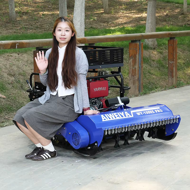 AIWEIYA Selbstfahrender 4-Takt-Rasenmäher mit Benzinmotor in Blau aus rostfreiem Edelstahl - Bild 2