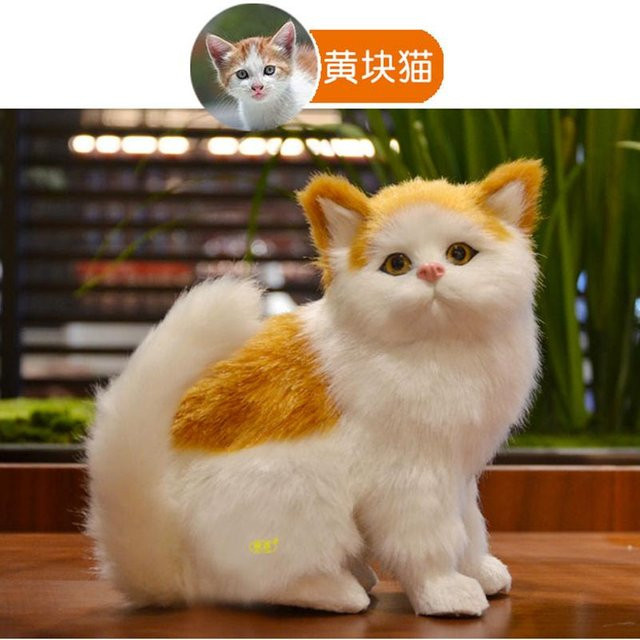Kidsly Plüschtier Perserkatze Siamkatze Orange, Kätzchenpuppe - Bild 1