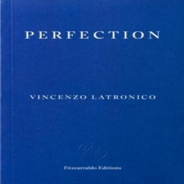 Perfection von Vincenzo Latronico, Taschenbuch - Bild 1