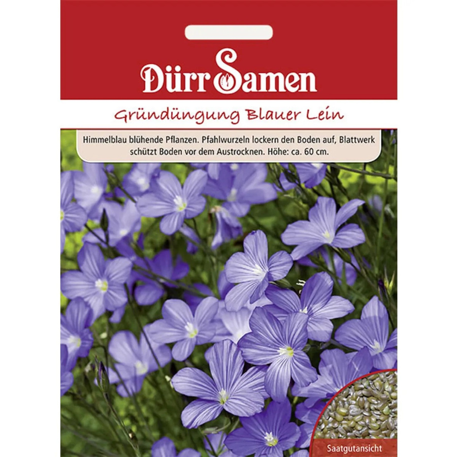 Dürr Gründüngung Blauer Lein Samen 60 g - Bild 2