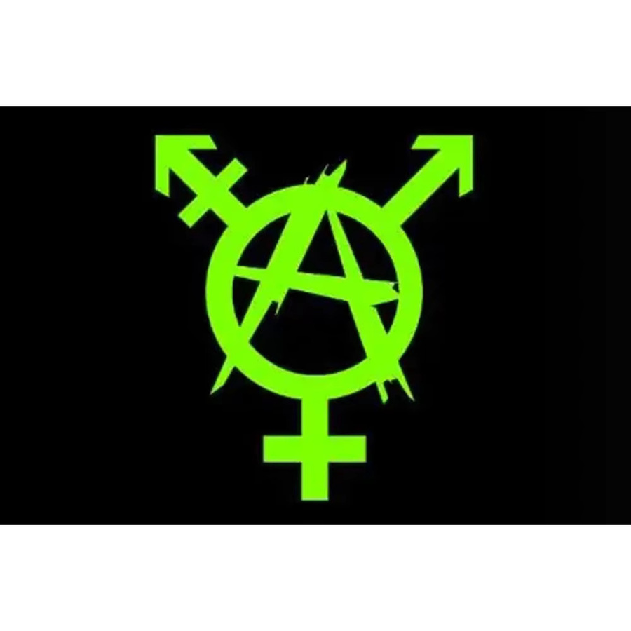 HMNAL Anarchismus Banner Flagge Schwarz für Innen- und Außenbereich B: 90 cm, H: 152,4 cm - Bild 2