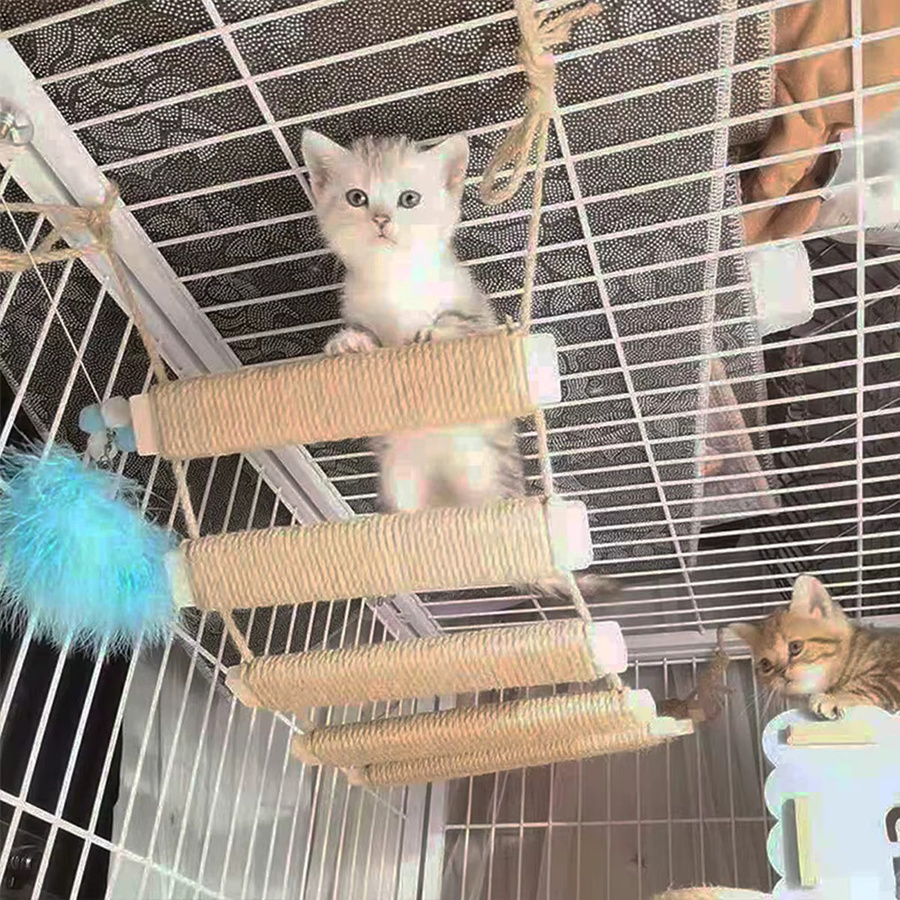 Holzklettergerüst für Katzen mit Sisalseil und Brücke als Kratzbaum-Erweiterung - Bild 1