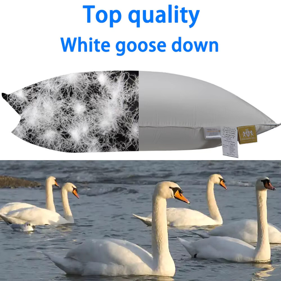 YUHUANQUEEN Gänsedaunkissen in Weiß mit Seiden- und Baumwollschale - Bild 2
