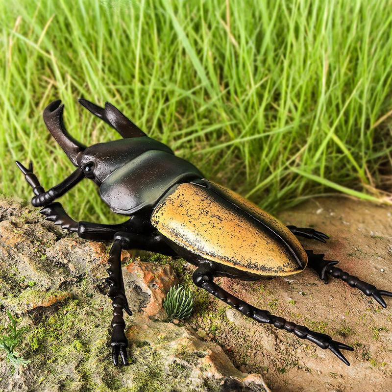 Oenux Insektenmodell Coleoptera Lucanidae Käfer Dynastes Hercules Actionfigur Lernspielzeug für Kinder 3-6 Jahre - Bild 2