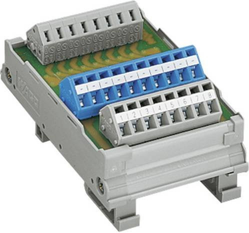 WAGO Connection Module 289-667 in Grau - Bild 1