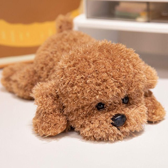Binchi Fitness Teddyhund Plüschtier, Welpenpuppe, Braun, ab 14 Jahren - Bild 1