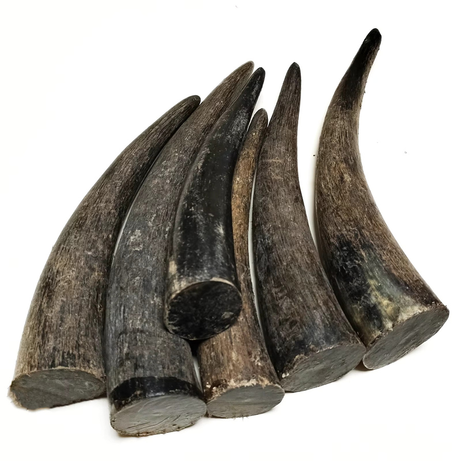 Authentisches schwarzes Yak-Horn als rohes Gravurmaterial für Buddha-Perlen und Zigarettenspitzen, 1 Stück - Bild 4