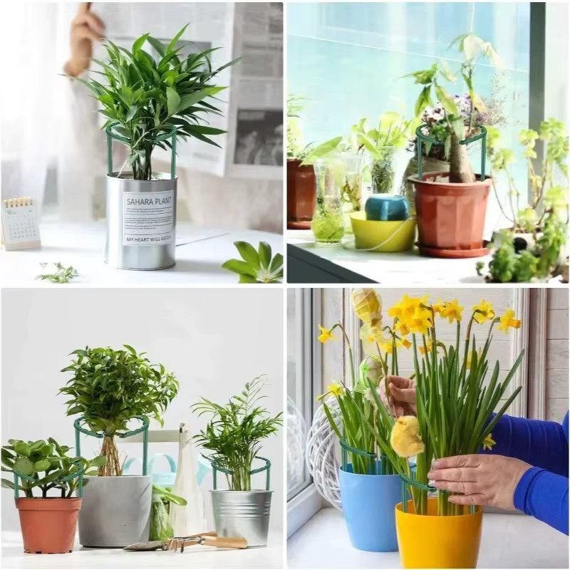 Pflanzenstützpfahlständer aus Kunststoff in Grün für Blumen und Gewächshäuser, 48 Stück - Bild 4