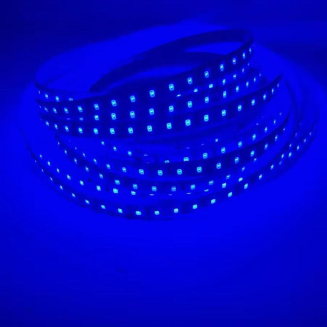 OuuZuu LED Streifen 24V Blau, 10m Länge, 120 LEDs/m, 2835 SMD Diode, Breite: 8 mm - Bild 1