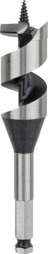 Bosch Schlangenbohrer mit Sechskantschaft in Silber, Durchmesser: 30 mm, Gesamtlänge: 160 mm - Bild 1