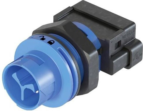 Wieland Electric Geräteanschluss in Blau 46.032.M054.9 - Bild 1