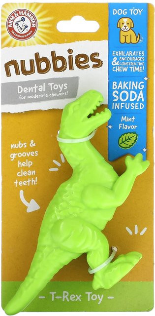 Arm & Hammer Nuubbies T-Rex Zahnspielzeug, Minze, 1 Stück - Bild 1