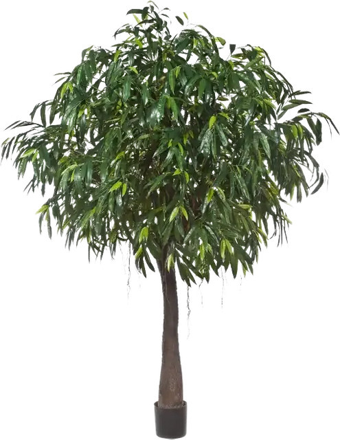 Künstlicher langblättriger Ficus Johannes von Aplanta, Höhe: 270 cm - Bild 1