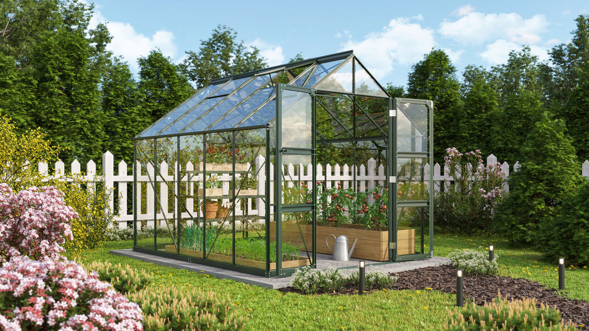 Vitavia Gewächshaus Domus 8300 in Smaragdgrün mit Einscheibensicherheitsglas und Doppelschwingtür, Fläche: 8,3 m² - Bild 2