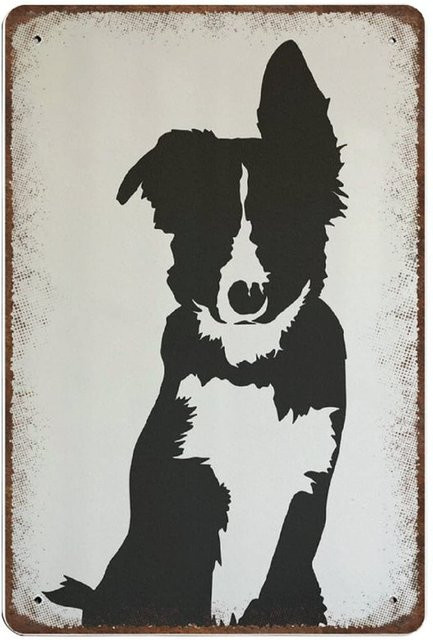 Dreacoss Vintage Blechschild Border Collie Wanddeko Metall Poster - Bild 1