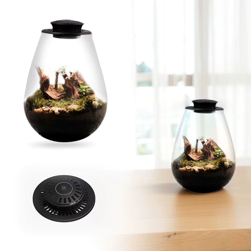 F2 Miniatur-Gartenpflanzen-Terrarium aus Glas mit Wachstumslicht in Grün, Weiß und Mehrfarbig mit Moos-Landschaft und minimalistischem Design - Bild 3