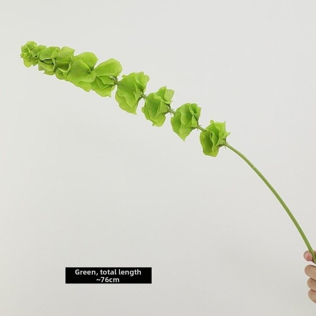Künstliche Pflanze Moluccella Laevis von haikouwei in Grün zur Heimdekoration - Bild 1