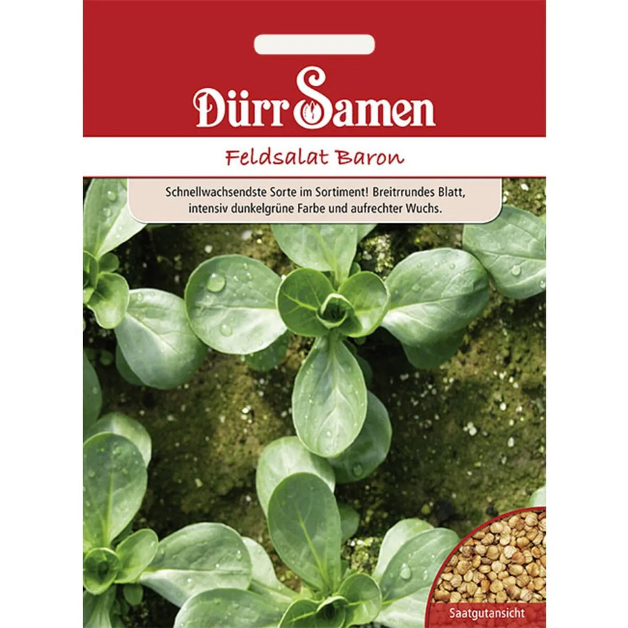Dürr Samen Feldsalat Baron Saatgut für Sommer und Herbst, 400 g - Bild 2