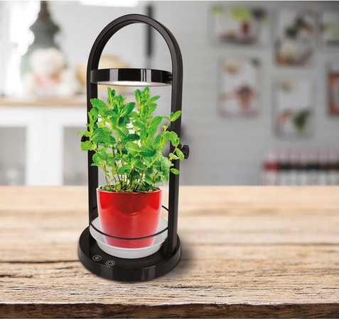 Näve LED-Tischleuchte Grow Light für Pflanzen in Schwarz, Höhe: 53,5 cm