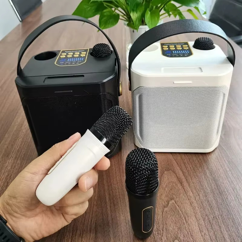 AyeBeau Tragbarer Bluetooth Karaoke-Lautsprecher mit Subwoofer und Mikrofon in Schwarz - Bild 5