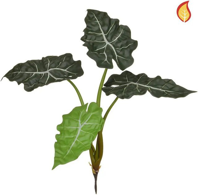 Künstliche Alocasia Angelika von Aplanta in Grün, Höhe: 49 cm - Bild 1