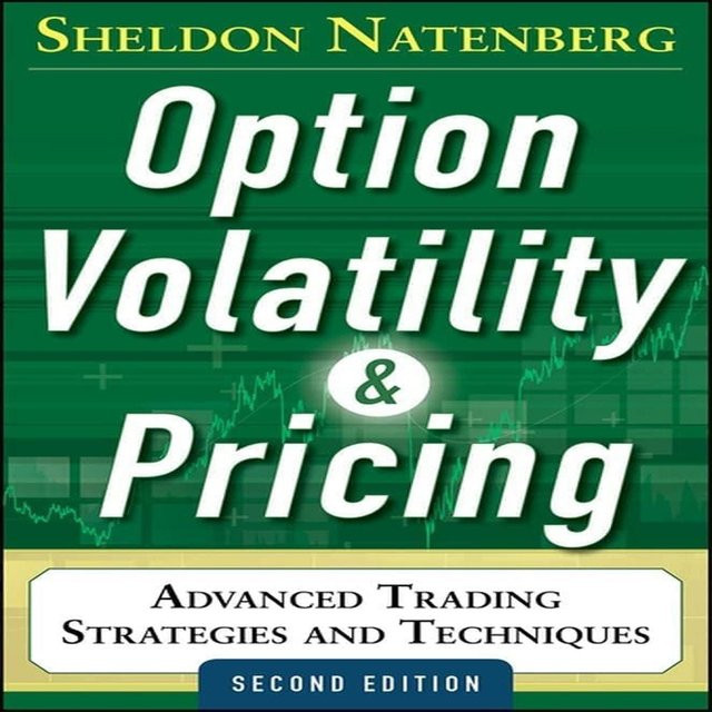 Optionsvolatilität und -preisfindung: Fortgeschrittene Handelsstrategien und -techniken, 2. Auflage, Sheldon Natenberg, Taschenbuch - Bild 1