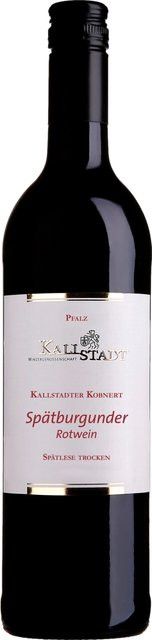 Kallstadt Kobnert Spätburgunder Rotwein, Pfalz, 2022, trocken, 13,5 % vol, 0,75 l - Bild 1