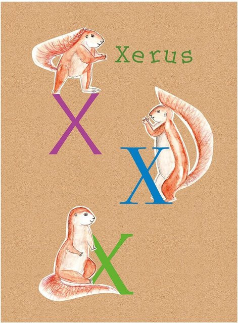 Komar Wandbild ABC Animal Paper Poster, Multicolor, Breite: 40 cm, Höhe: 50 cm - Bild 1