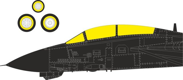Tamiya F-14D - Bild 1