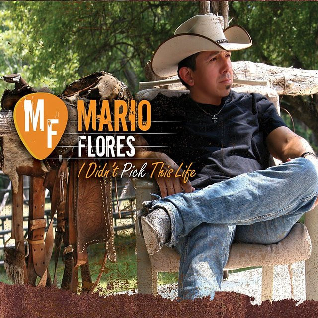 Ich habe mir dieses Leben nicht ausgesucht von Mario Flores, CD - Bild 1