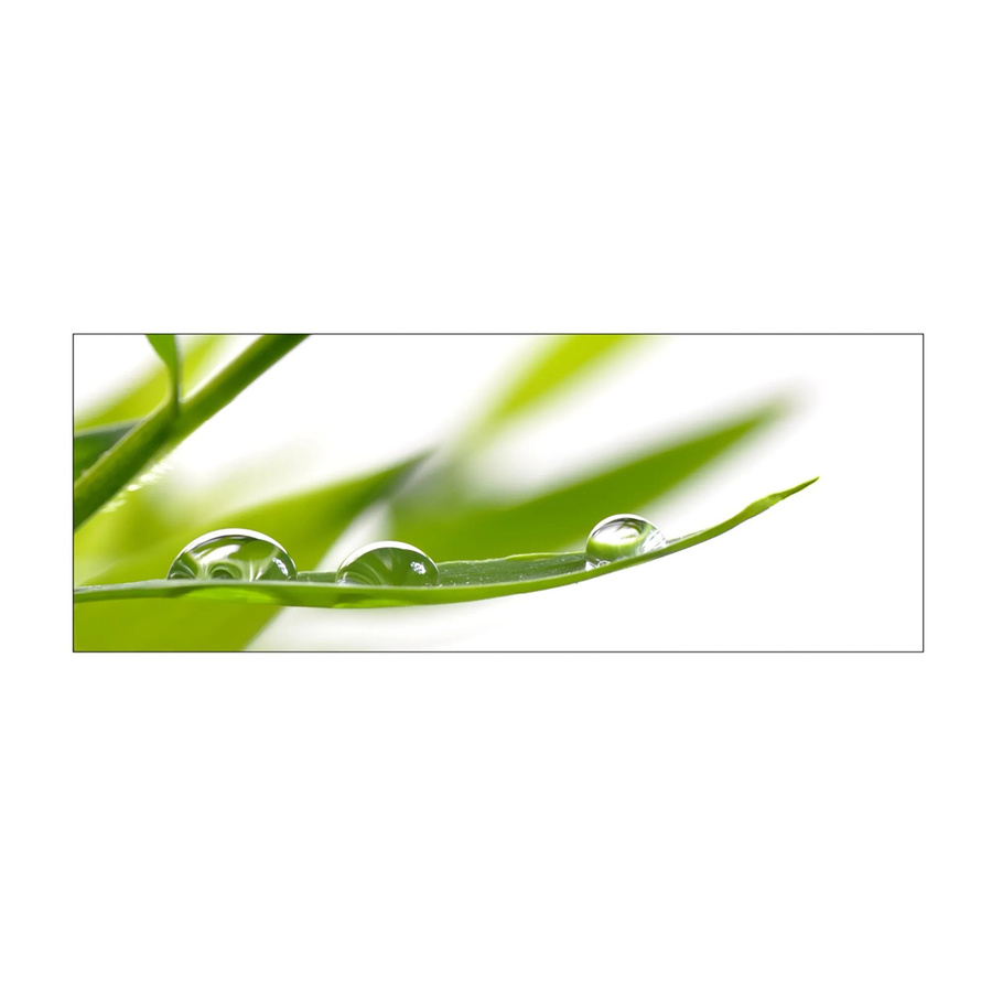 MySpotti Küchenrückwand Profix Cucina Dew Drop in Grasgrün aus Aluminiumverbundwerkstoff B/H: 160 x 60 cm - Bild 1