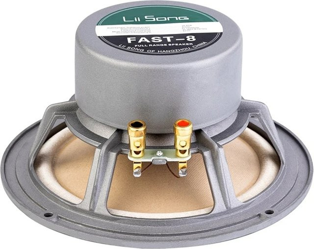 Lii Song Fast-8 8-Zoll HiFi-Lautsprecher Paar mit großer Reichweite - Bild 1