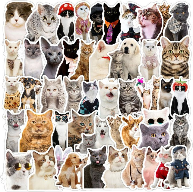 50 Stück wasserfeste Kätzchen-Graffiti-Aufkleber im Cartoon-Stil von BulingBulingStickers Store, Mehrfarbig - Bild 1