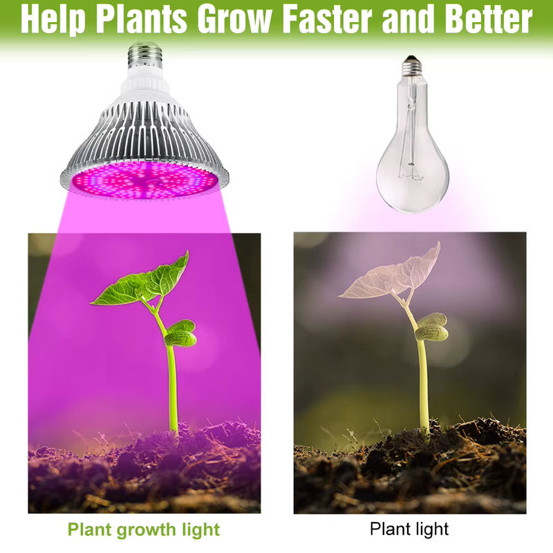 150 W LED Vollspektrum Pflanzenlampe mit E27/E14 Fassung für UV/IR Indoor Hydrokultur und Anbau von Blumen, Sukkulenten und Gemüse - Bild 5
