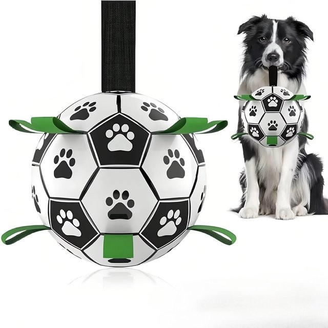 Damaly Interaktives Hunde-Fußballspielzeug mit Greifring, Schwarz - Bild 1