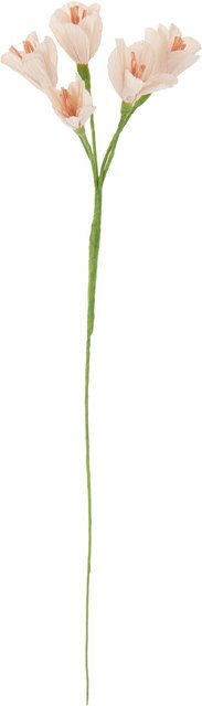 Rico Design Papierblume Freesie in Powder - Bild 1