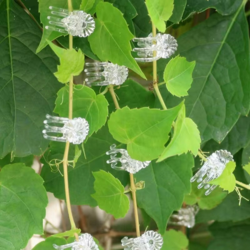 Wiederverwendbare Orchideen-Pflanzenstützclips aus transparentem Kunststoff zur Befestigung von Kletterpflanzen und Gartenranken, 30 Stück - Bild 2