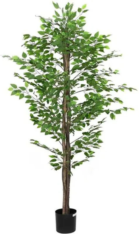 Künstlicher Ficusbaum in Grün von vidaxl, Höhe: 200 cm - Bild 1