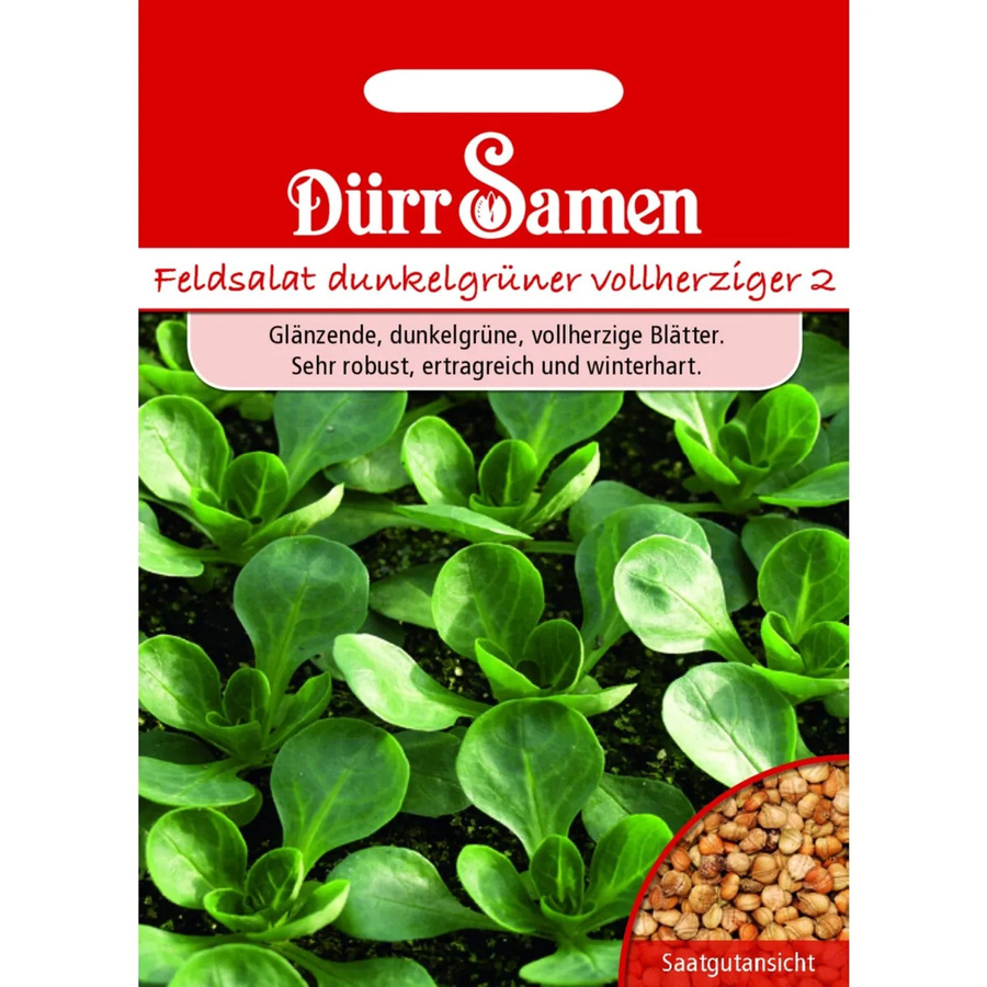 Dürr Feldsalat Dunkelgrüner Vollherziger Saatgut 4 g - Bild 2