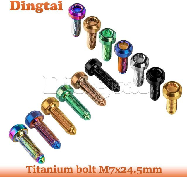 Dingtai Titanschraube M7 x 24,5 mm aus Titan Gr5 mit Spline-Innensechskant und geschmiedetem Dome-Kopf in Grau/Mehrfarbig - Bild 1