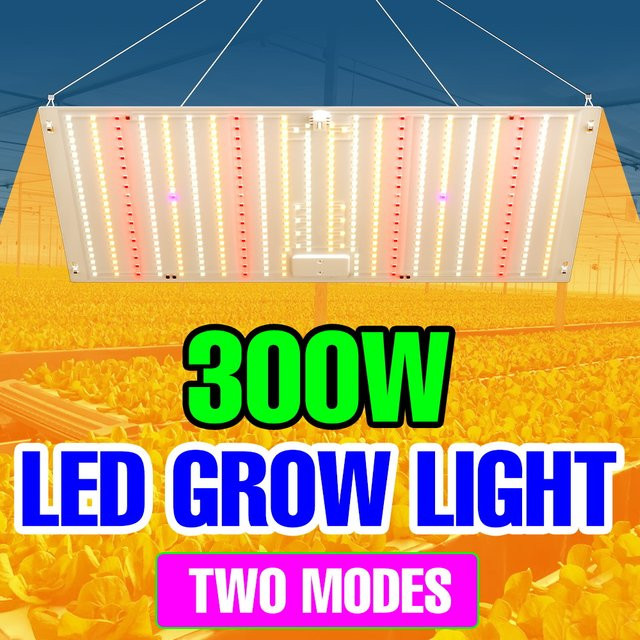 CanLing 300W LED Vollspektrum Quantum Board Anbau Lampe für Indoor Pflanzen, Obst und Gemüse - Bild 1