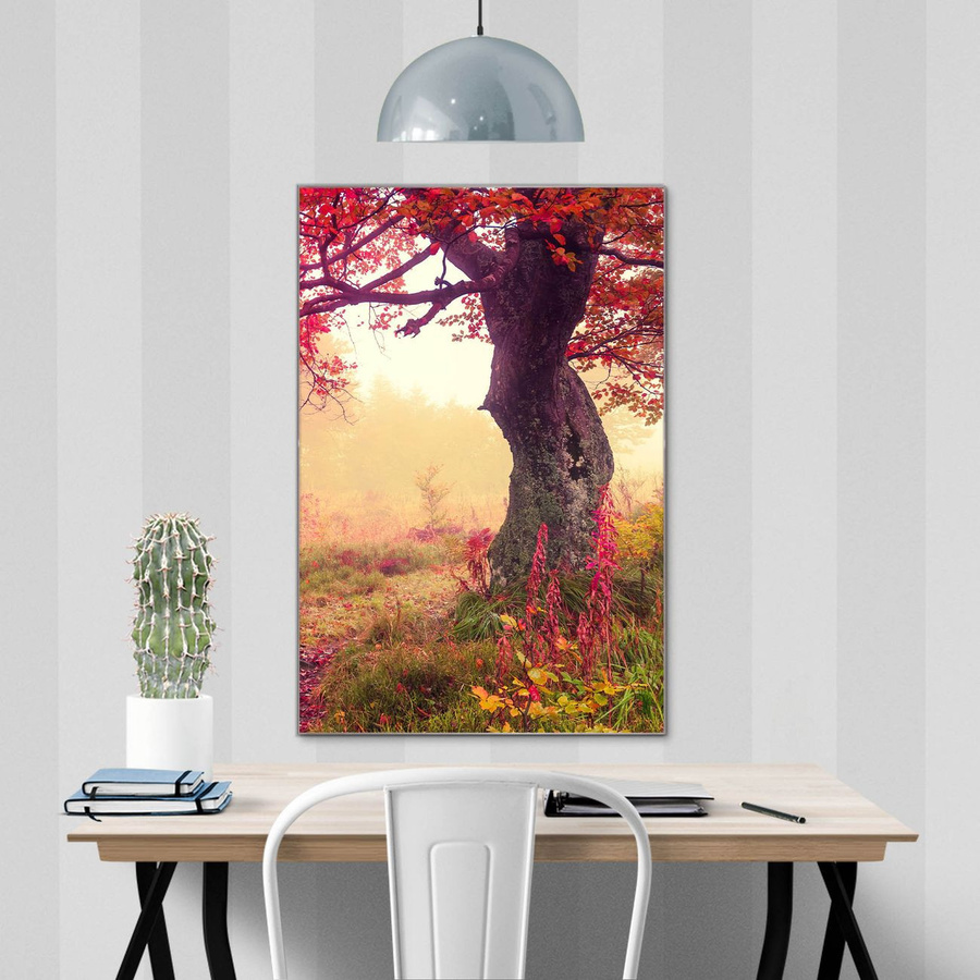 banjado Glas Magnettafel Motiv Lichtung Im Herbst, rahmenlos, beschreibbar, B/H: 80 x 120 cm - Bild 1