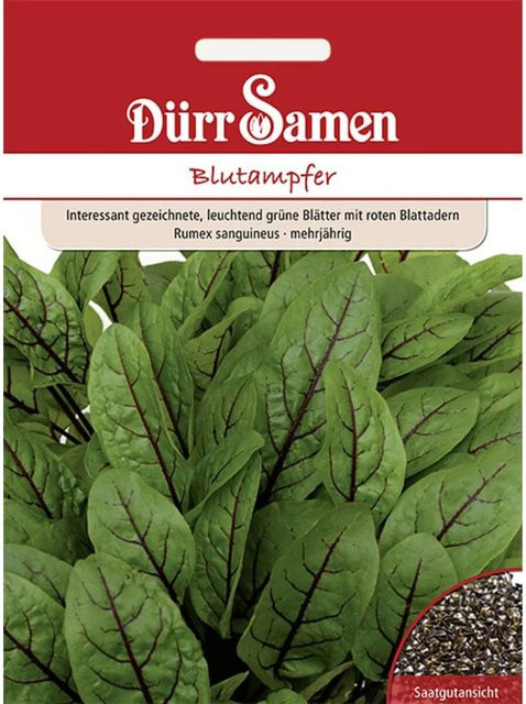 Dürr Blutampfer Saatgut 500 g - Bild 1